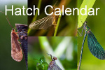 Hatch