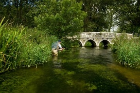 Wading